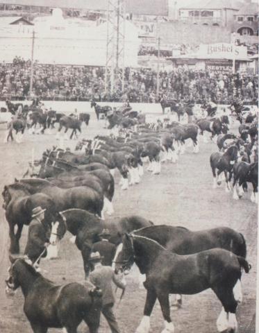 Ascot Vale Royal Show parade, 1935