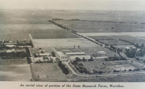 Aeriel view of State Research Farm, Werribee, 1936