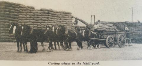 Carting wheat to Nhill yard, 1936