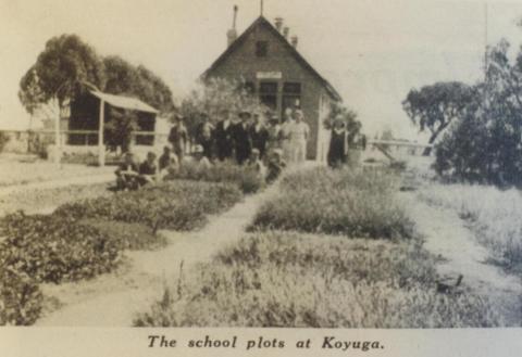 School plots, Koyuga, 1938