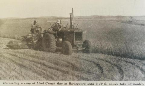 Harvesting Liral Crown flax at Birregurra, 1940