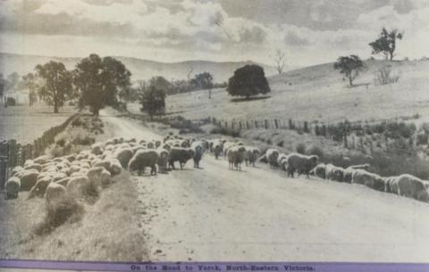 On the road to Yarck, 1947