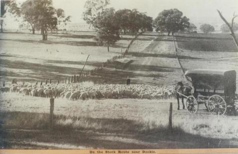 On the stock route near Dookie, 1943