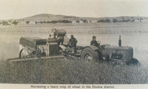 Harvesting wheat, Dookie district, 1949