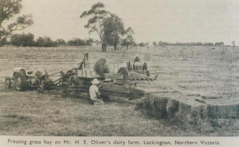 Pressing hay on Mr H.E. Oliver's farm, Lockington, 1952