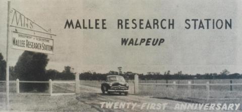 Mallee Research Station, Walpeup, 1953