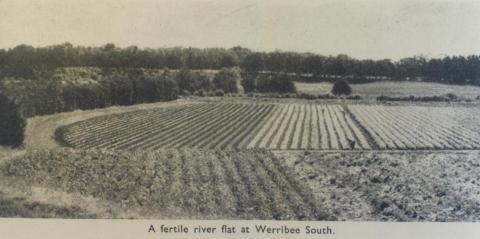 Fertile river flat, Werribee South, 1955