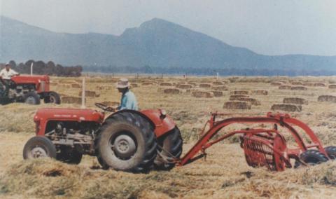 Haymaking, Willaura, 1965