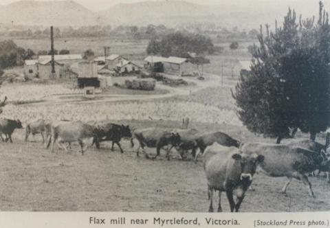 Flax mill near Myrtleford, 1951