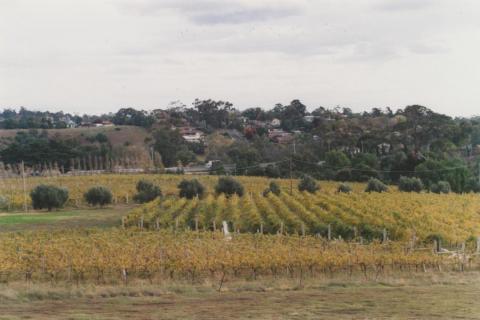 Goonawarra vineyard, looking south, Sunbury, 2010