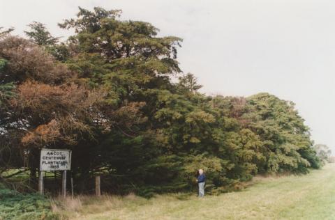 Centenary of white settlement plantation (1938), Ascot, 2010