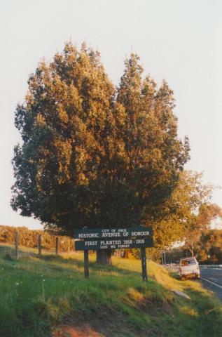 City of Knox Historic Avenue of Honour, 2010