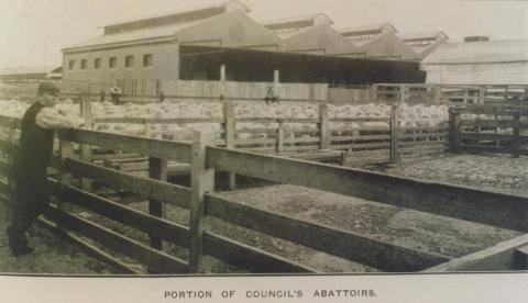 Council abattoirs, Richmond, 1912