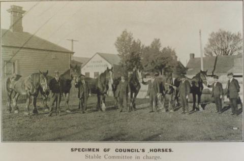 Council's horses with Stable Committee, Richmond, 1916