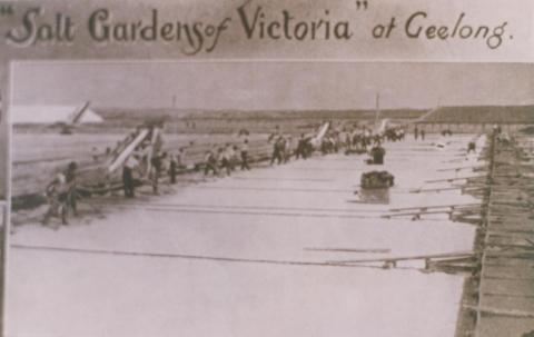 Salt Gardens of Victoria, Geelong, 1934