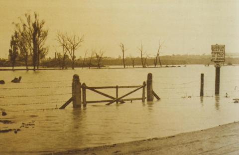 Como Park in South Yarra flooded, October 1923