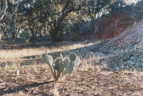 Near mine site, Betley, 2010