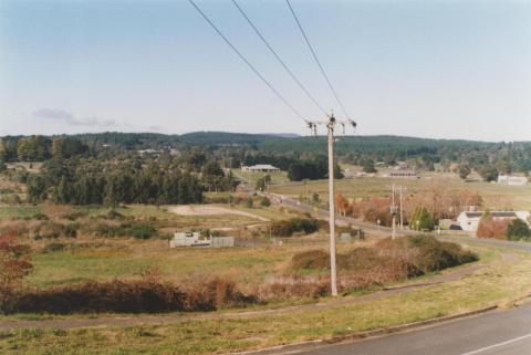 Magpie: down Docwra Street across Yarrowee Creek, 2010