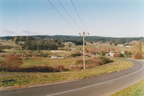 Magpie: down Docwra Street across Yarrowee Creek, 2010