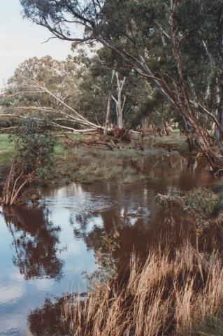 Muckleford Creek, Pyrenees Highway, 2010