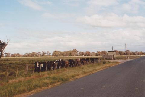 Cattle and Telephone Exchange, Bamawn Extension, 2010