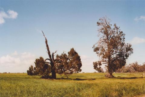 Hans Young Farm, Glenloth East, 2010