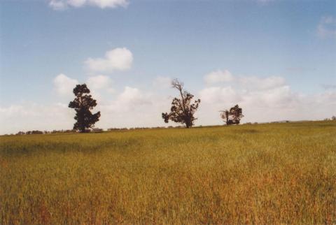 Hans Young Farm, Glenloth East, 2010