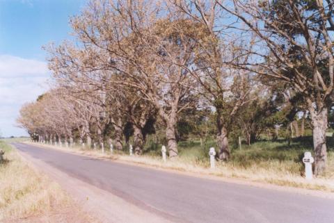 Eurack Avenue of Honour, 2010