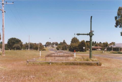 Horse Trough and Stand Pipe, Haddon, 2010