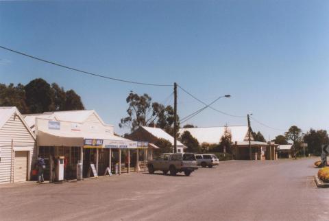 General Store and Hall, Snake Valley, 2010