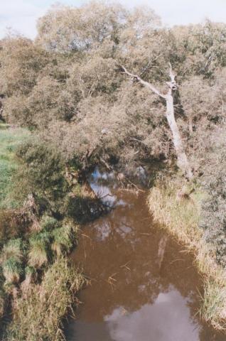 Woady Yaloak Creek, Pitfield, 2010