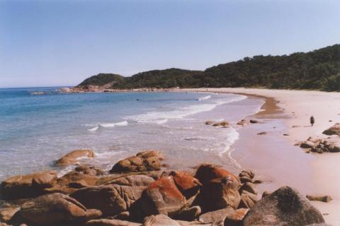 Honeymoon Bay, Point Hicks, 2010