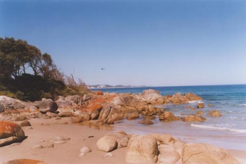 Honeymoon Bay, Point Hicks, 2011