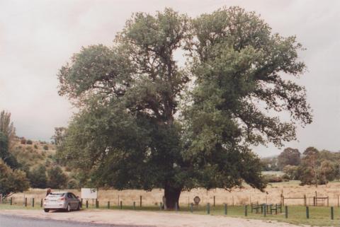 Barkly Park, Taradale, 2011