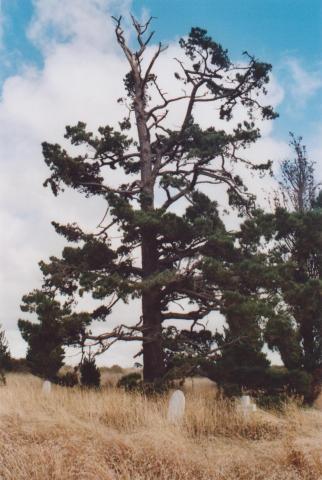 Donnybrook Cemetery, Kalkallo, 2011