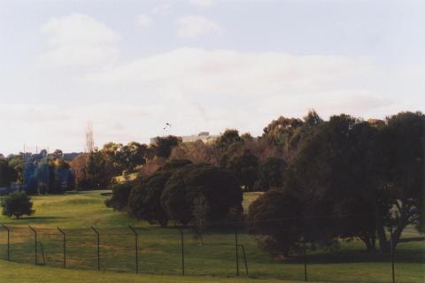 Artist Camp Area, Box Hill South, 2011