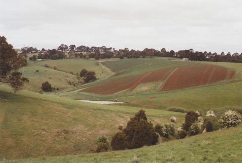 Ploughed fields, Mirboo North, 2012