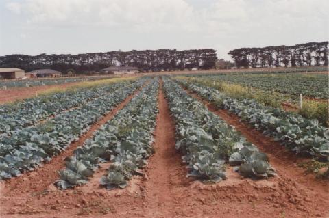 Farm, Werribee South, 2013