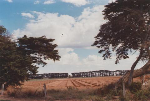 Farm, Werribee South, 2013