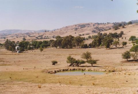 Granya, 2006