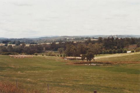 Woori Yallock from Old Warburton Road, 2012