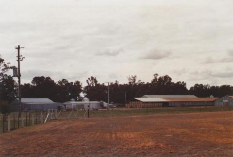 Poultry Farm, Tamleugh, 2012