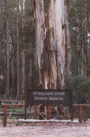 Stringybark Creek, Tolmie, 2012