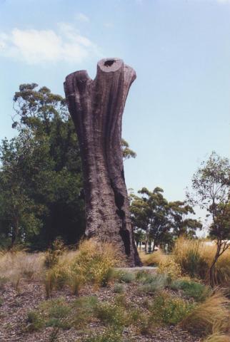 Aboriginal Tree, Burnley Park, 2000