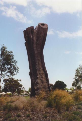 Aboriginal Tree, Burnley Park, 2000