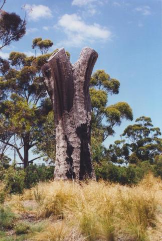 Aboriginal Tree, Burnley Park, 2000