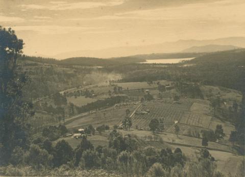 The Patch, Kallista, 1937