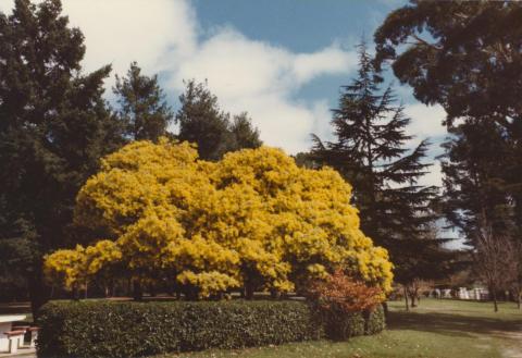 Kirks Reservoir, Ballarat, 1980