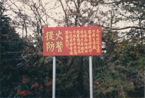 Beechworth cemetery, Chinese section, 1980