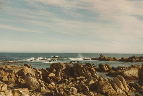 Cape Conran, 1980